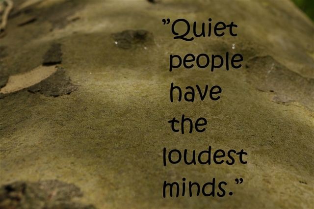 Quiet people have the loudest minds.  Wisdom Quote