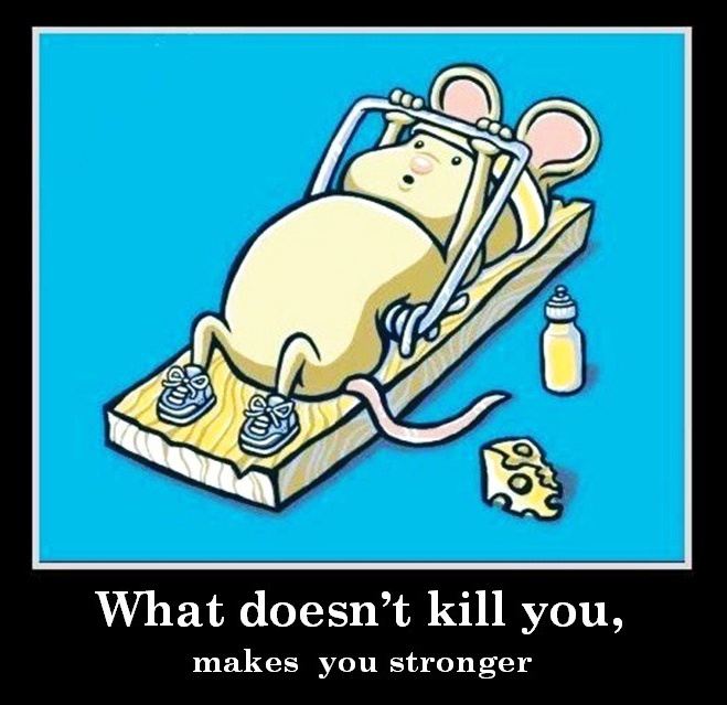 What doesn't kill you, makes you stronger.  Funny Quote
