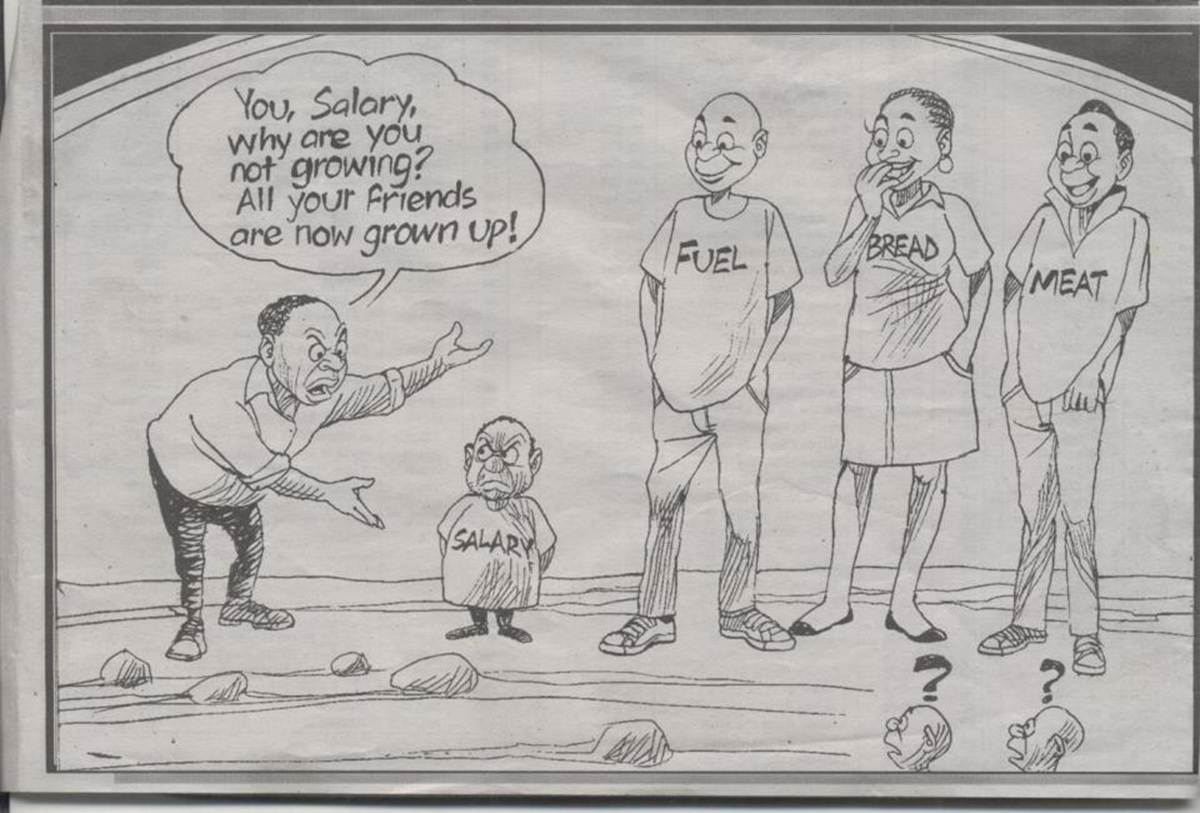 You, Salary, why are you not growing? All your friends are now grown up!
Fuel, bread, meat.  Life Funny Salary Quote