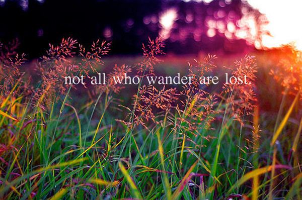 Not all who wander are lost.  Wisdom Life Freedom Quote