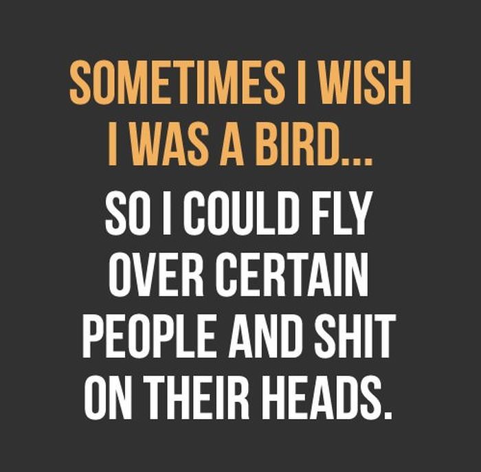 Sometimes I wish I was a bird...
So I could fly over certain people and shit on their heads.  Funny Quote