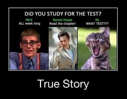 Yoddler - Did you study for the test? Nerd: All week long Normal people:  Read the chapter! Me: What test??? True story Funny Quote