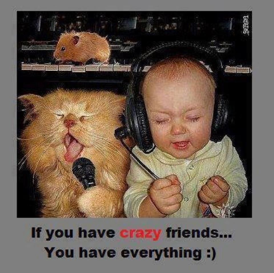 If you have crazy friends...
You have everything :)  Funny Friendship Quote